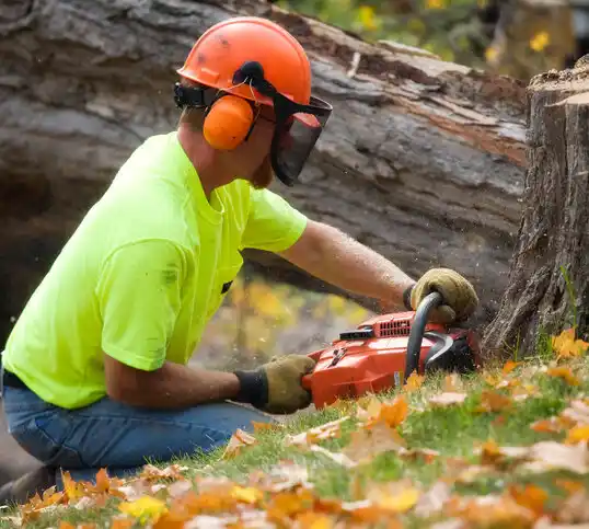 tree services Kimball